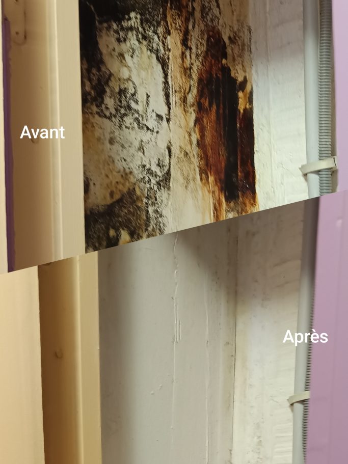 Traitement moisissure