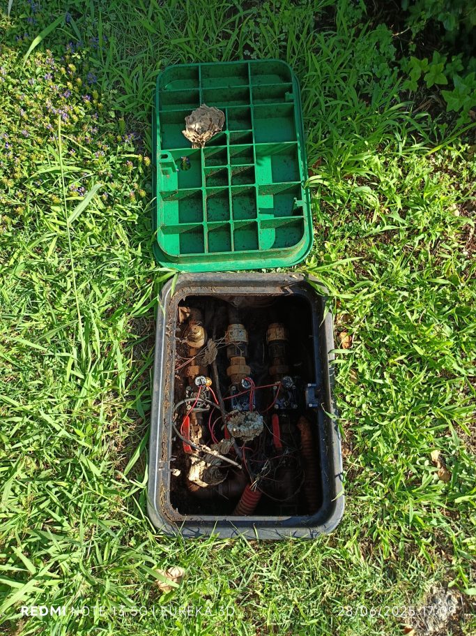 Photo d’un nid de frelons asiatiques situé dans une trappe de déclenchement d’arrosage automatique en copropriété.
