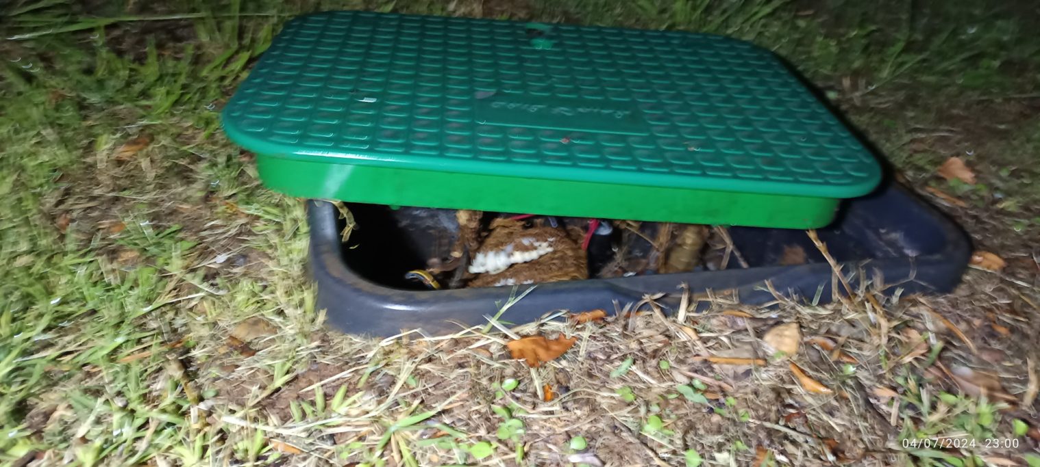 Photo d’un nid de frelons asiatiques installé dans un espace technique d’une copropriété.